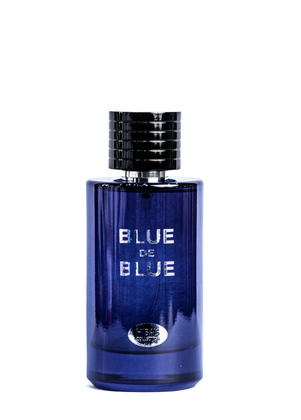 HBS PERFUME OLD 100ML MEN BLUE D BLUE